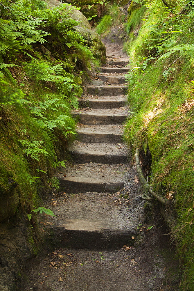 Ascent to the Schrammsteine Rocks, National Park Saxon Switzerland, Elbe Sandstone Mountains, Saxony, Germany, Europe