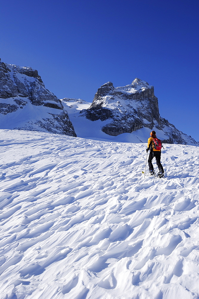 Woman backcountry skiing, ascending towards Kleine Sulzfluh, backcountry ski tour Sulzfluh, Rachen, Raetikon, Montafon, Vorarlberg, Austria