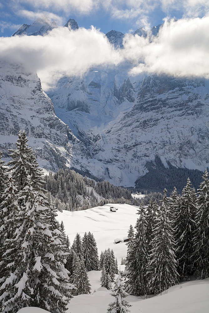 Deep snow at some alpine stables and huts above Grindelwald, Jungfrauregion, Bernese Oberland, Canton Bern, Switzerland, Europe