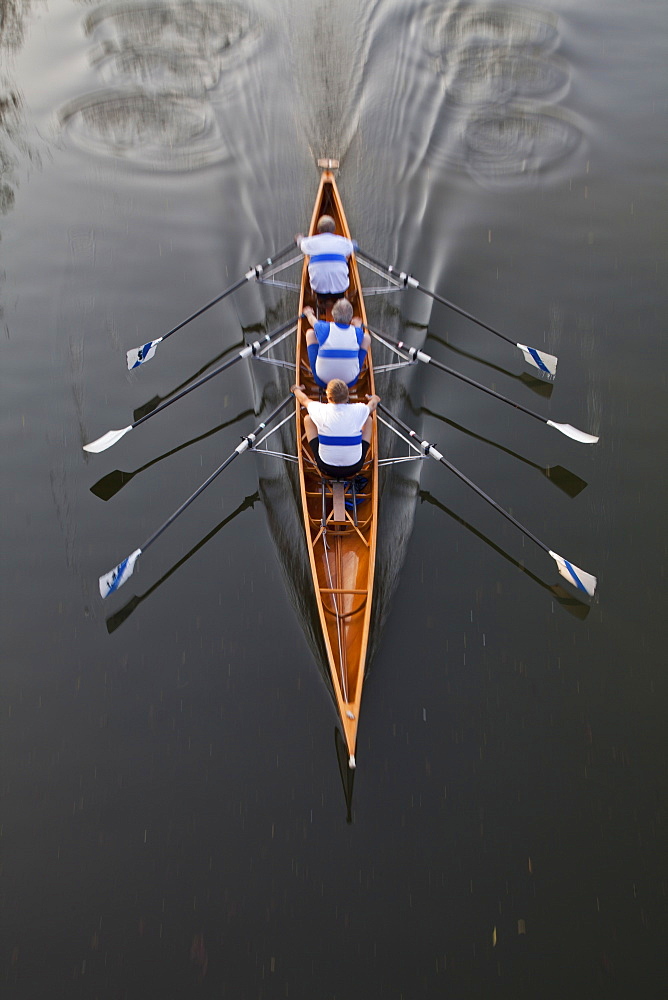 Rowing boat with three rowers, sculling, Water Sports, Sport