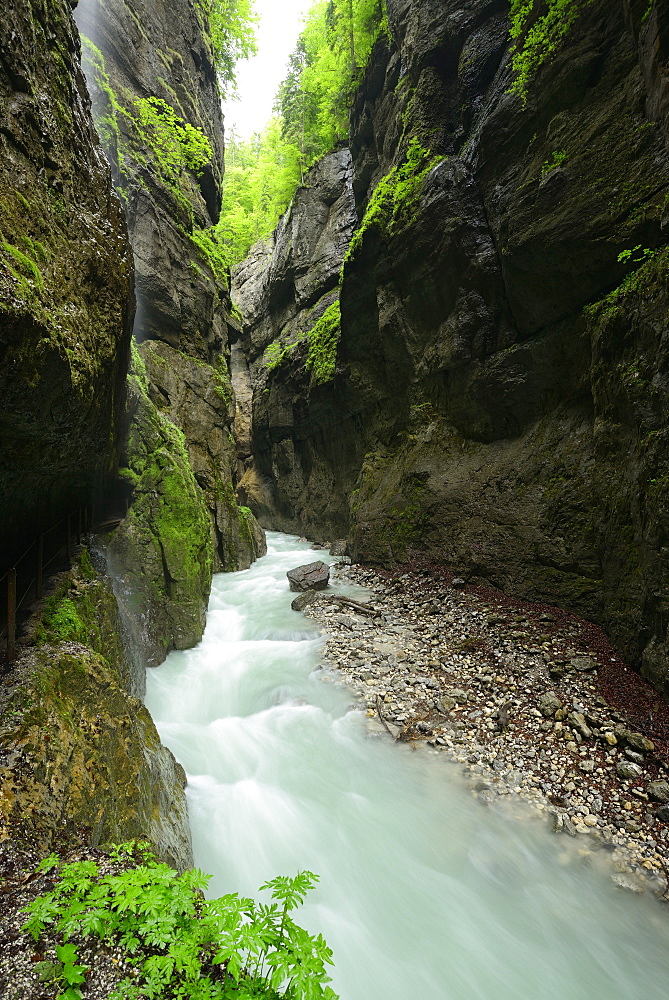 Partnach river running through a rocky gorge, Partnachklamm, Garmisch, Wetterstein range, Upper Bavaria, Bavaria, Germany