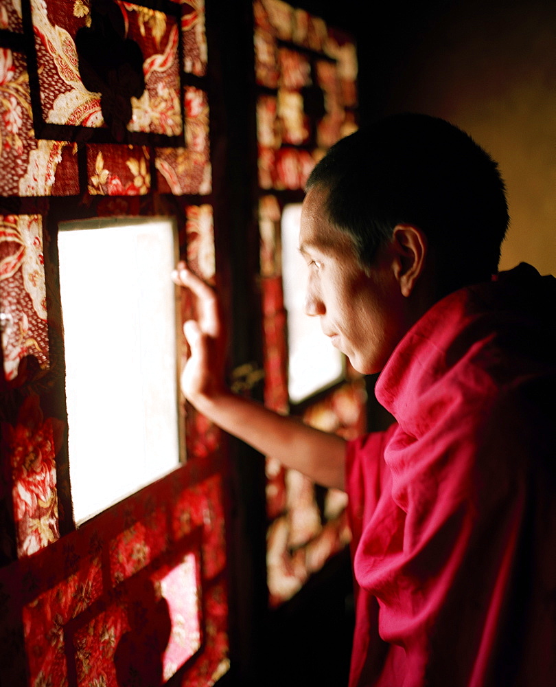 Monk looking out of a painted window, inner shrine at convent Rizong, founded in 1833, situated 3450m above sea level, 76 km west of Leh, Ladakh, Jammu and Kashmir, India