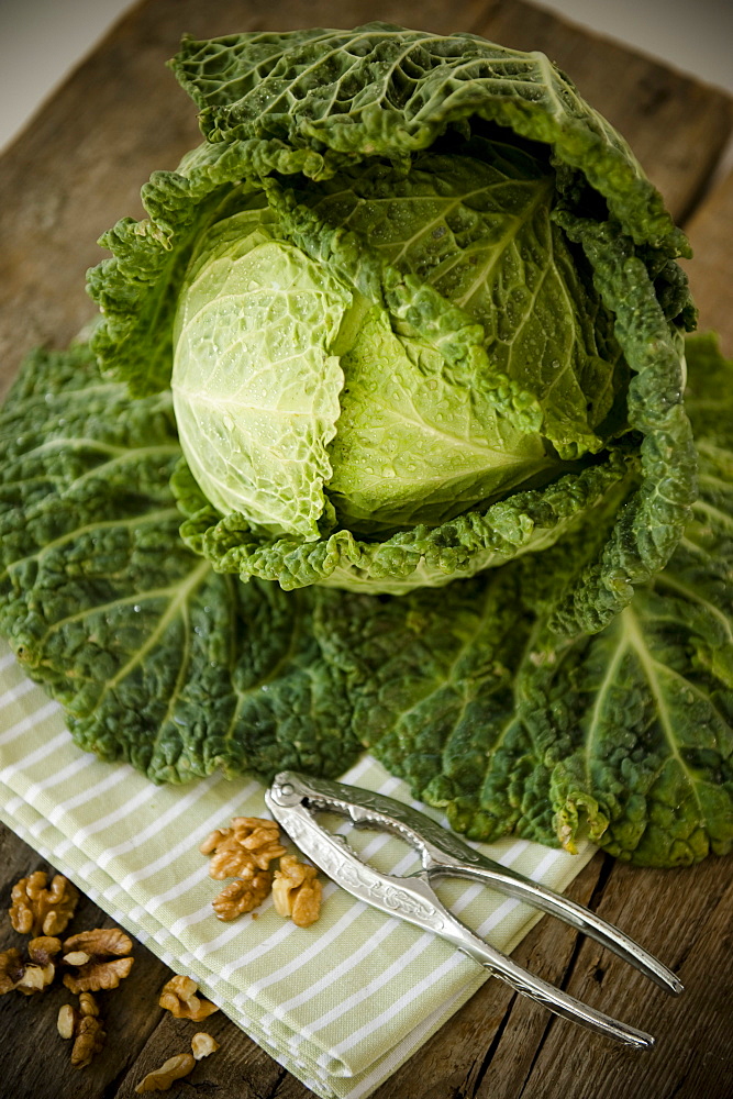 Green cabbage and walnuts, Vegetable, Healthy, Homegrown