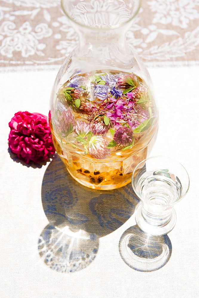 Liqueur with wild blossoms and herbs, herbage, garden, homemade