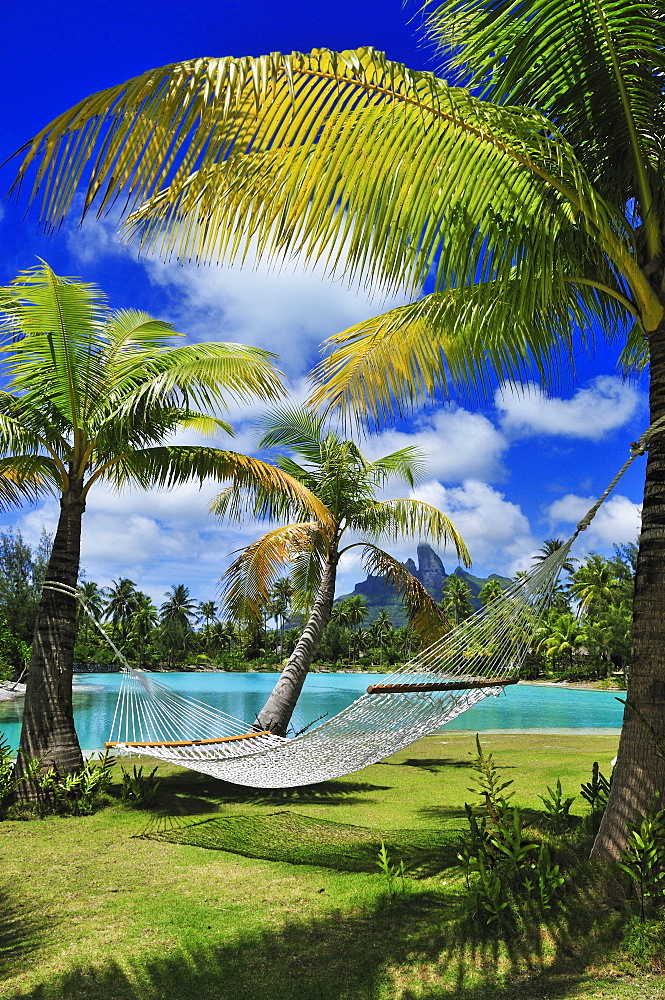 Hammock between two palm trees, Saint Regis Bora Bora Resort, Bora Bora, Society Islands, French Polynesia, Windward Islands, South Pacific