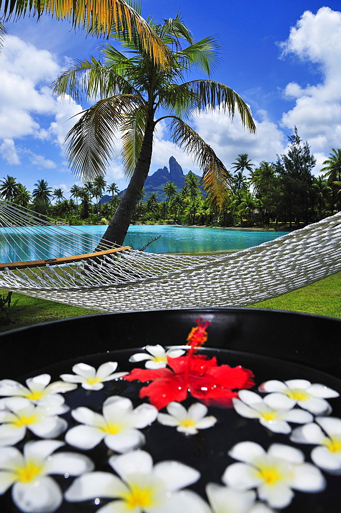 Hammock between two palm trees, Saint Regis Bora Bora Resort, Bora Bora, Society Islands, French Polynesia, Windward Islands, South Pacific