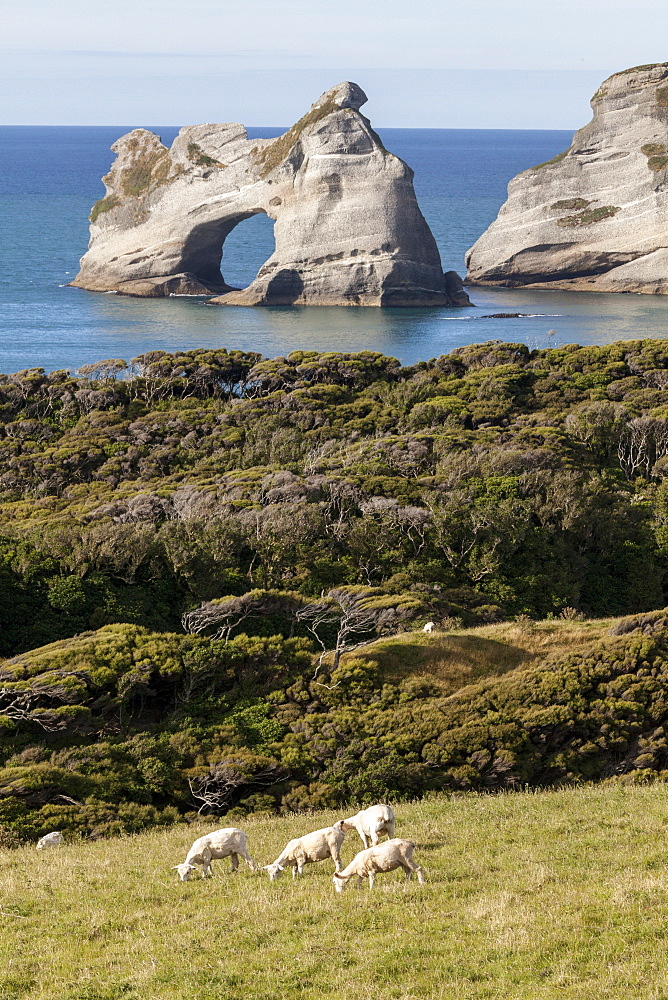 Archway islands along the coast near Wharariki Beach, manuka and kanuka trees, Puponga Farm Track, South Island, New Zealand