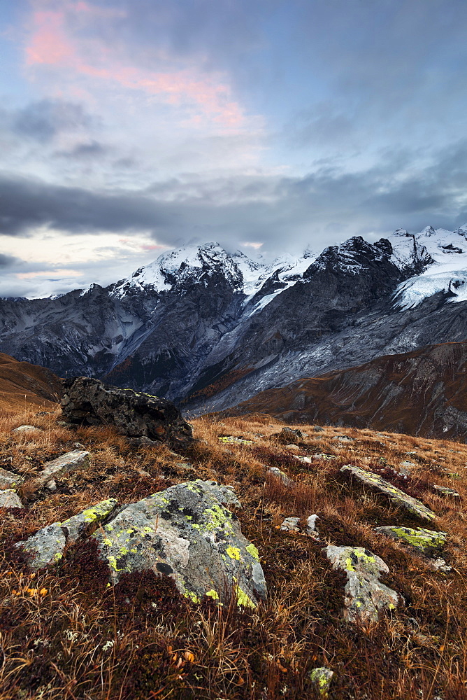 An impressive view towards the Ortler Alps from a mountain meadow above the Stelvio Pass on an autumn evening, South Tyrol, Italy