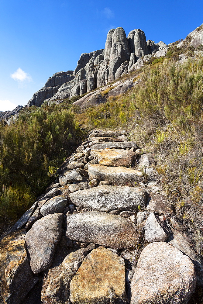 Trail in the Andringitra Mountain Range, Andringitra National Park, South Madagascar, Africa