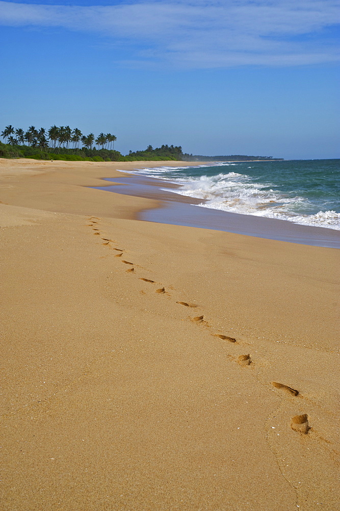 Footprints in the sand along a long deserted beach east of Tangalle, South coast, Sri Lanka, South Asi