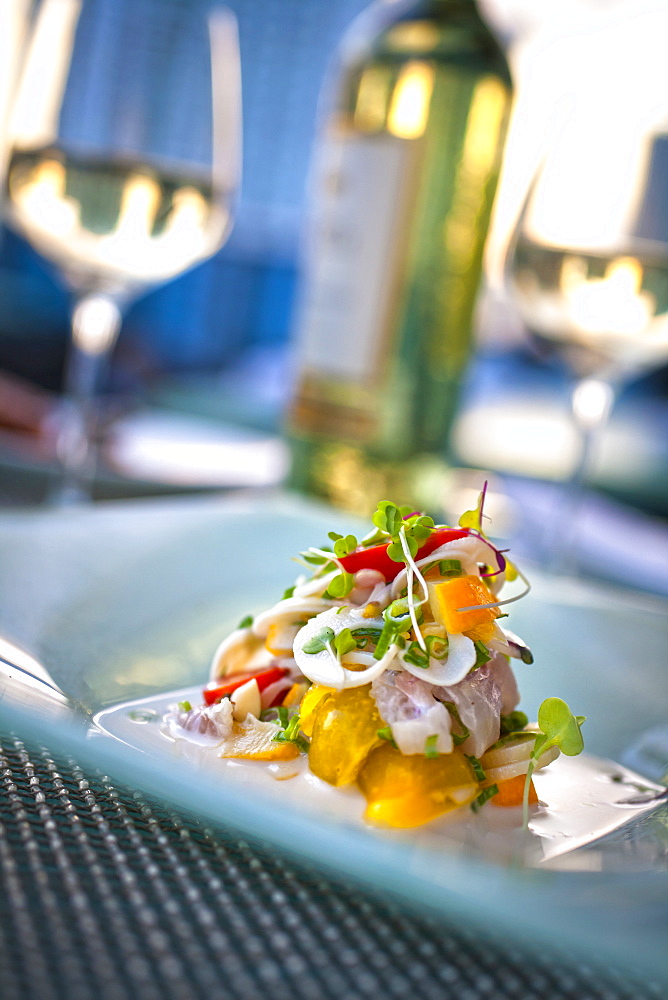 Tiradito of red snapper, hearts of palm, coconut, lemongrass and cherry tomato, Restaurant Area 31 at hotel Epic, Downtown Miami, Miami, Florida, USA