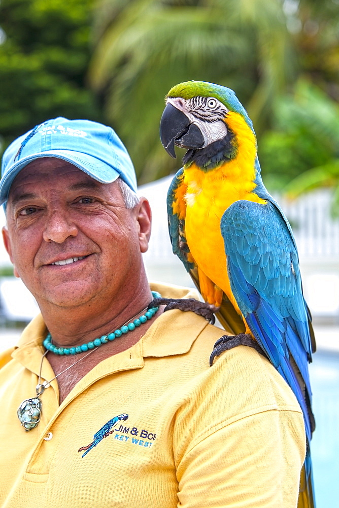 Local bird entertainer Jim with his parrot Bob, Key West, Florida Keys, Florida, USA