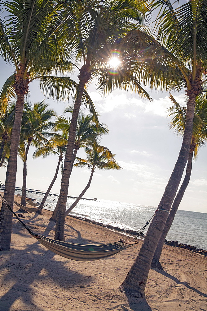 Beach area with hammock at luxury hotel Reach Resort, Key West, Florida Keys, USA