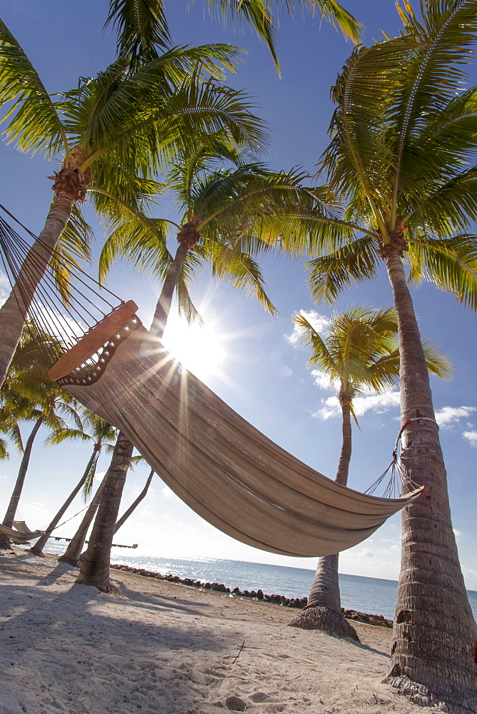 Beach area with hammock at luxury hotel Reach Resort, Key West, Florida Keys, USA