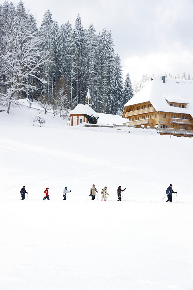 Snow shoe hikers, Hinterzarten, Black Forest, Baden-Wuerttemberg, Germany