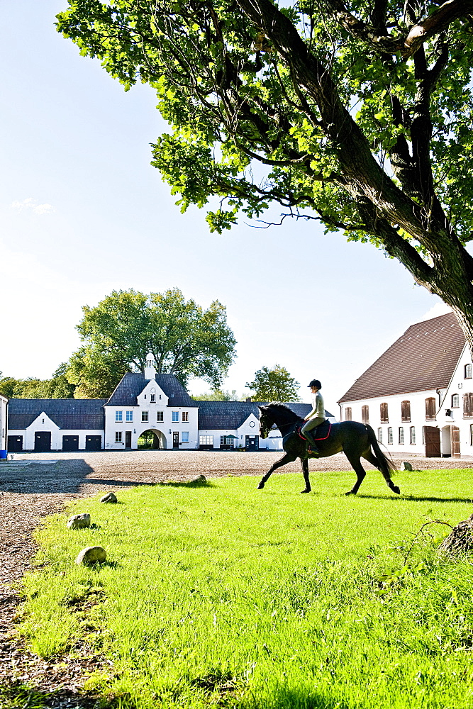 Woman horse riding, Gut Immenhof known from the movies the Immenhof, Malente, Schleswig-Holstein, Germany