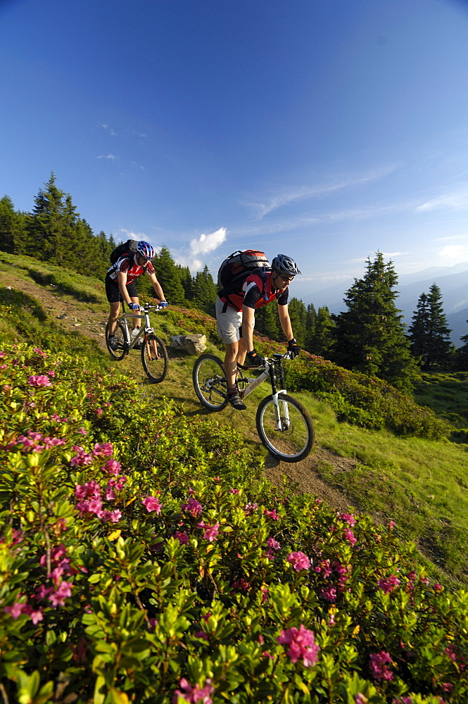 Two people on a mountain bike tour at Grenzkamm, Wipptal, Brenner, Tyrol, Austria