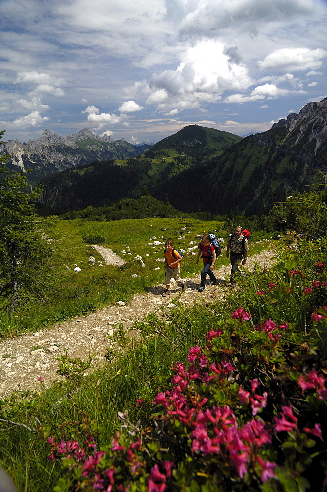 Family hiking in the mountains, Tannheimer Mountains, Allgaeu Alps, Tirol, Austria, Europe