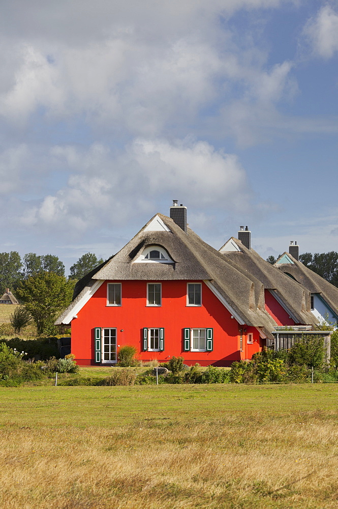 Modern house with thatched roof, Ahrenshoop, Mecklenburg-Western Pomerania, Germany