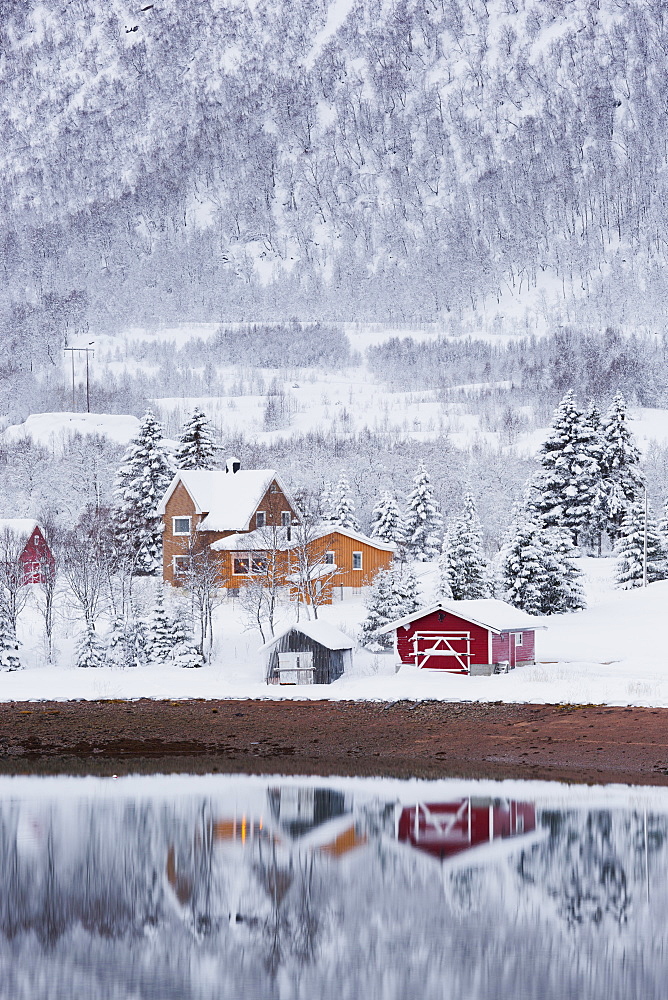 Reflection of houses in the fjord, Fiskefjorden, Hinnoya, Vesteralen, Nordland, Norway