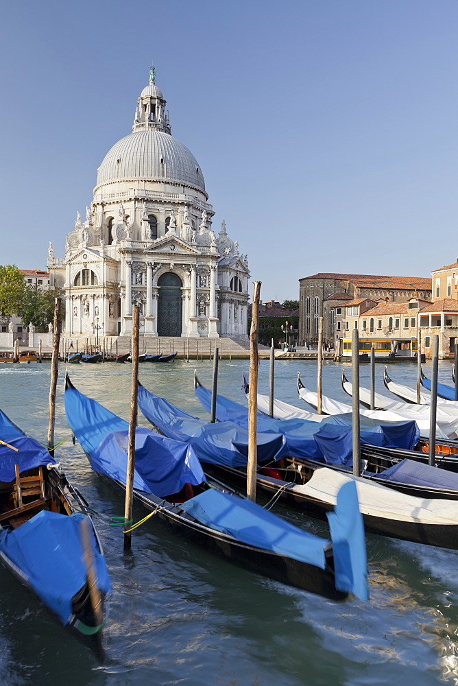 The church Santa Maria della Salute with gandolas, Canal Grande, Venice, Italy