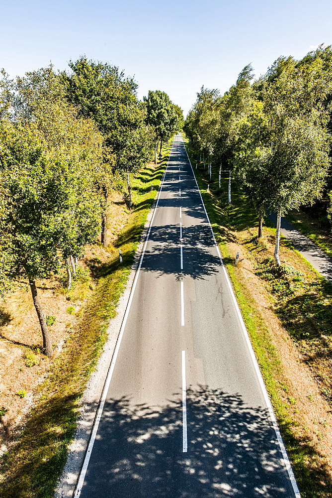 Road disappearing into the horizon, Radbruch, Winsen Luhe, Niedersachsen, North Germany, Germany