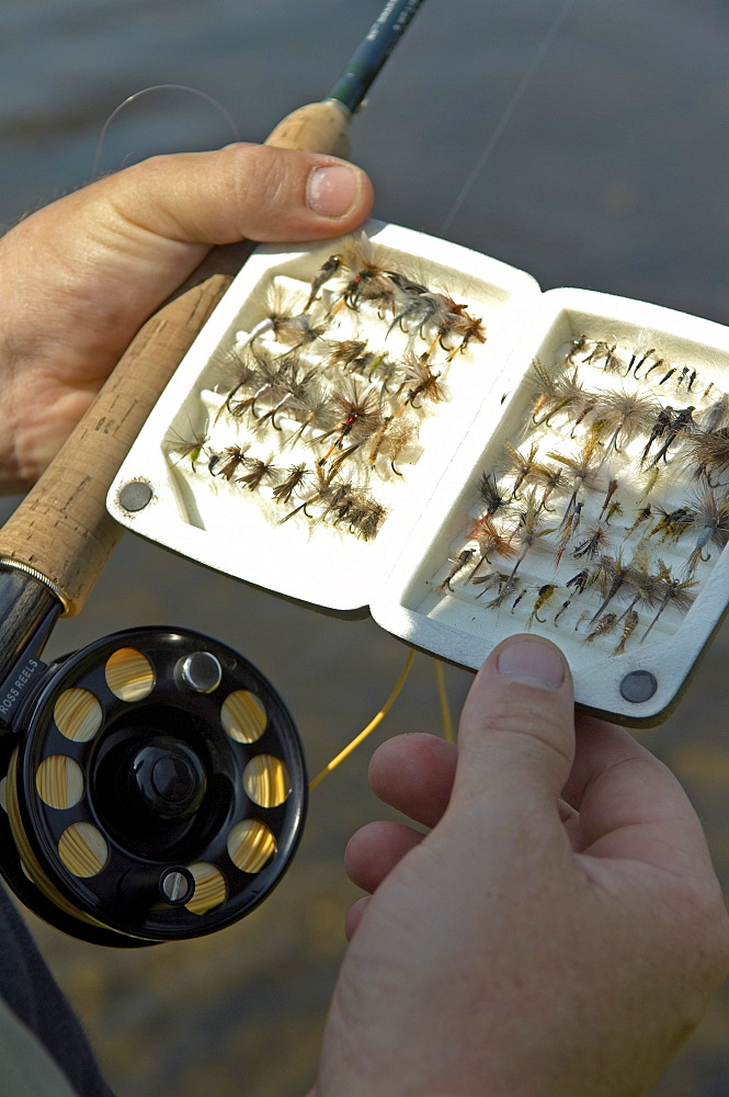 Fly Box, Fly Fishing