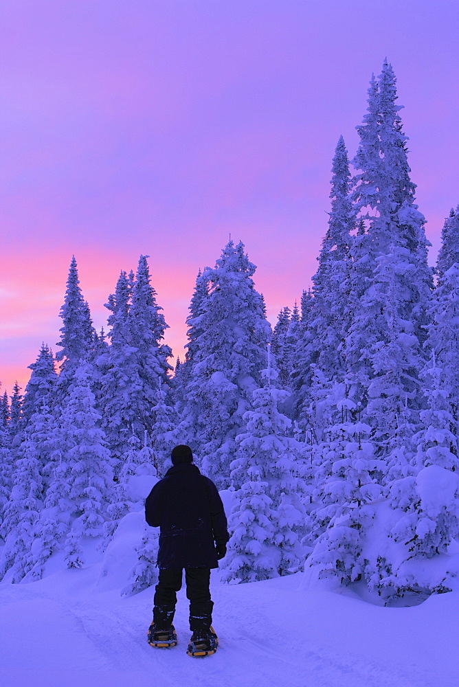 Snowshoer at Twilight, Gaspesie National Park, Quebec