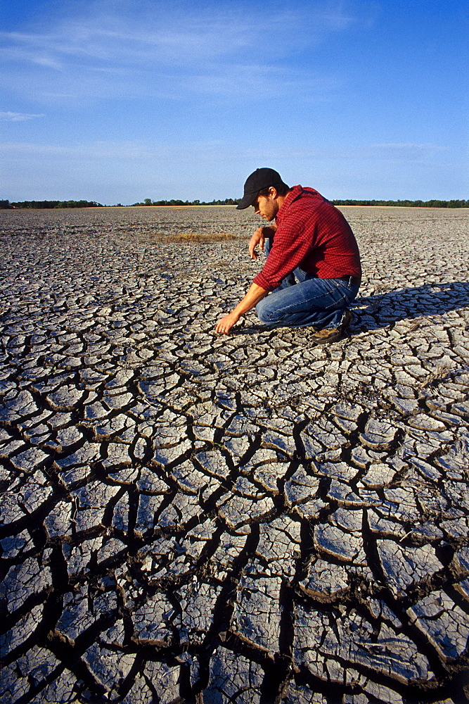 Farmer on land affected by Drought, Red River Valley, Manitoba