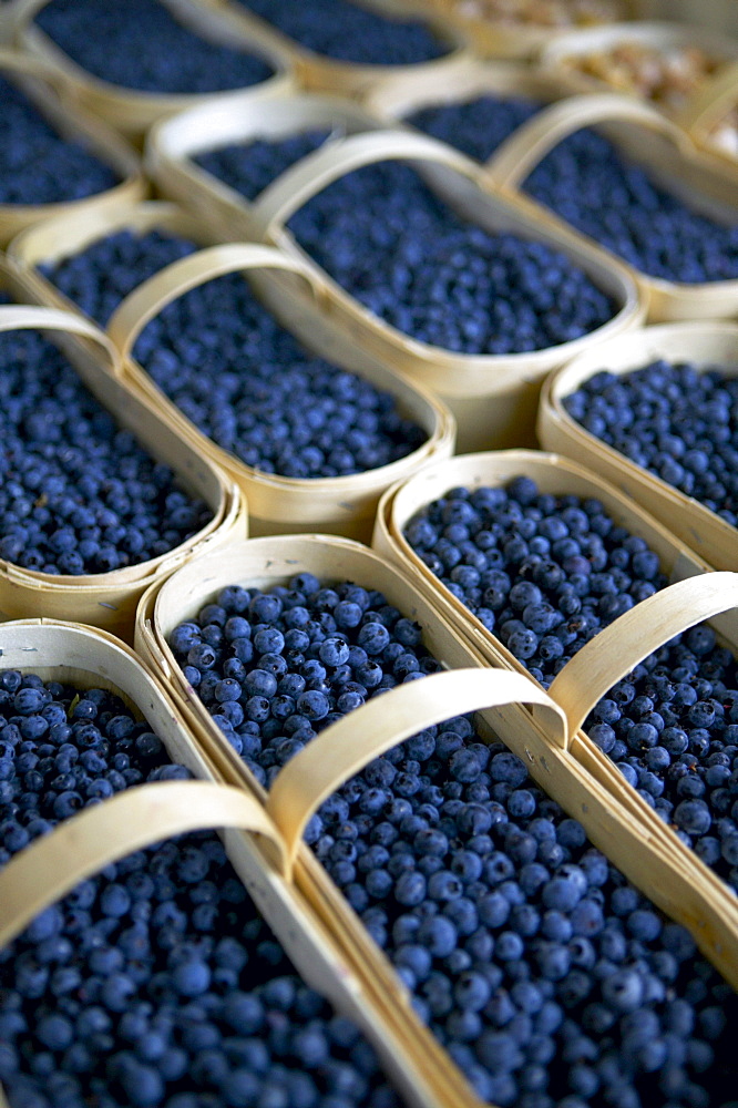 Blueberries, Jean-Talon Farmer's Market, Montreal, Quebec