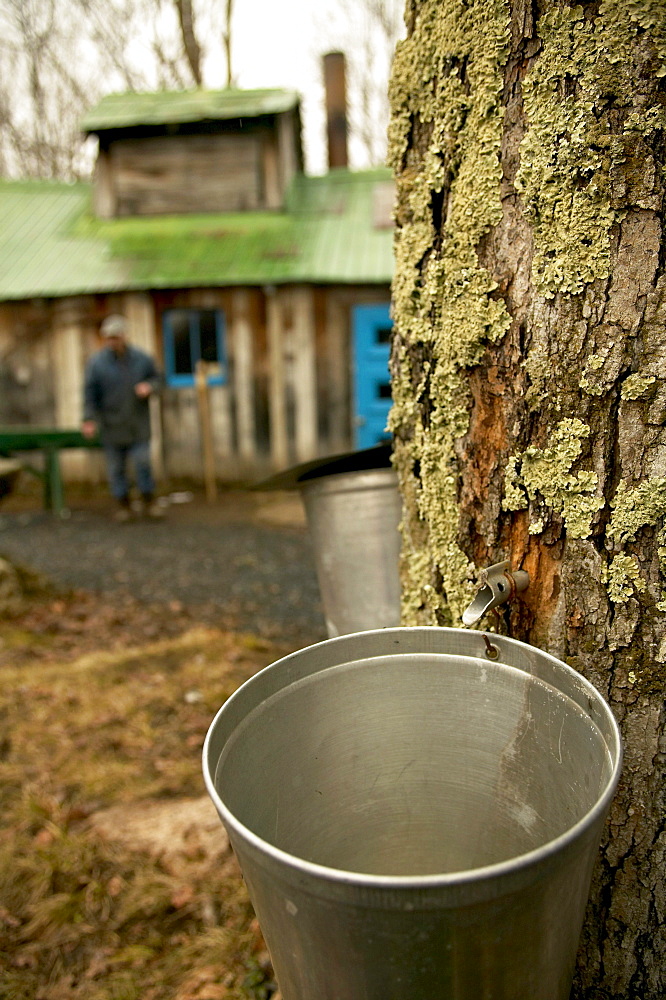 Cabane Sugar Shack, Brome-Missisquoi Region, Saint-Faustin, Quebec