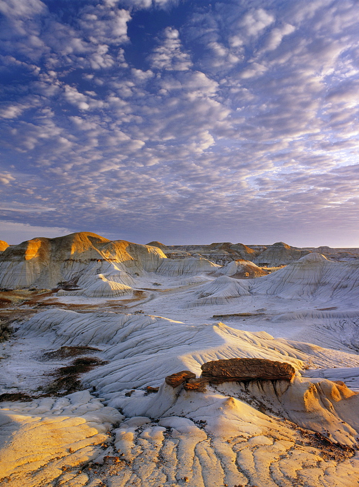 Red Deer River Badlands, Dinosaur Provincial Park, Alberta, Canada