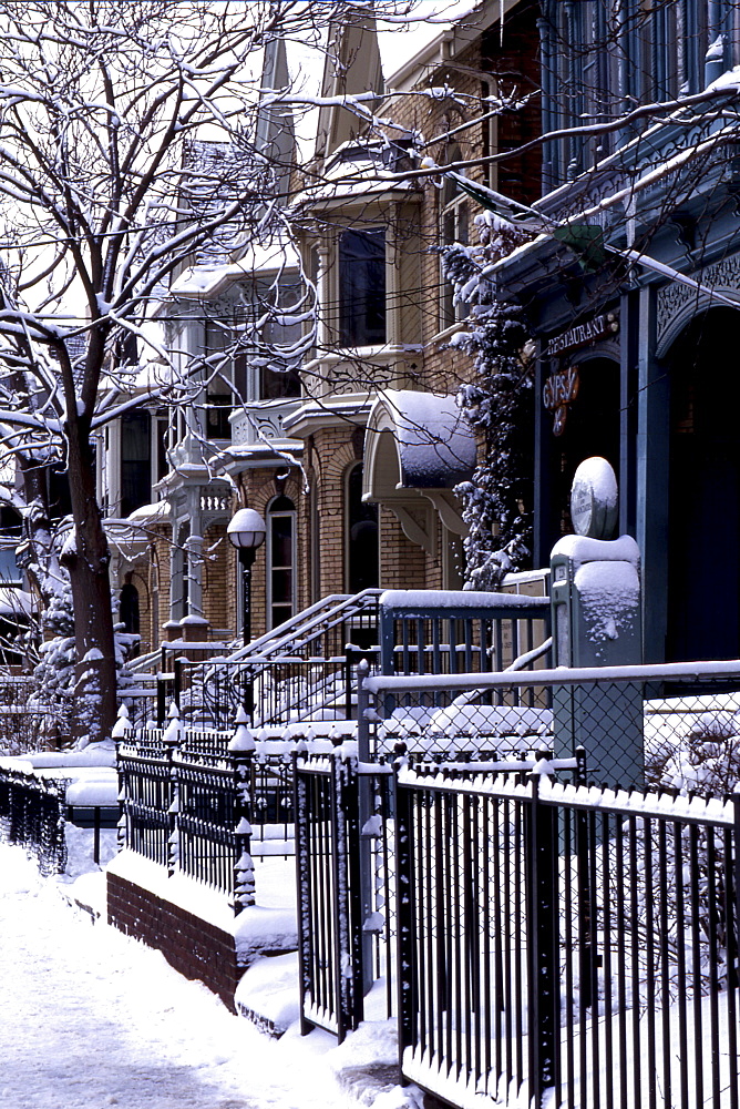 Residential Street in Winter, Toronto, Ontario