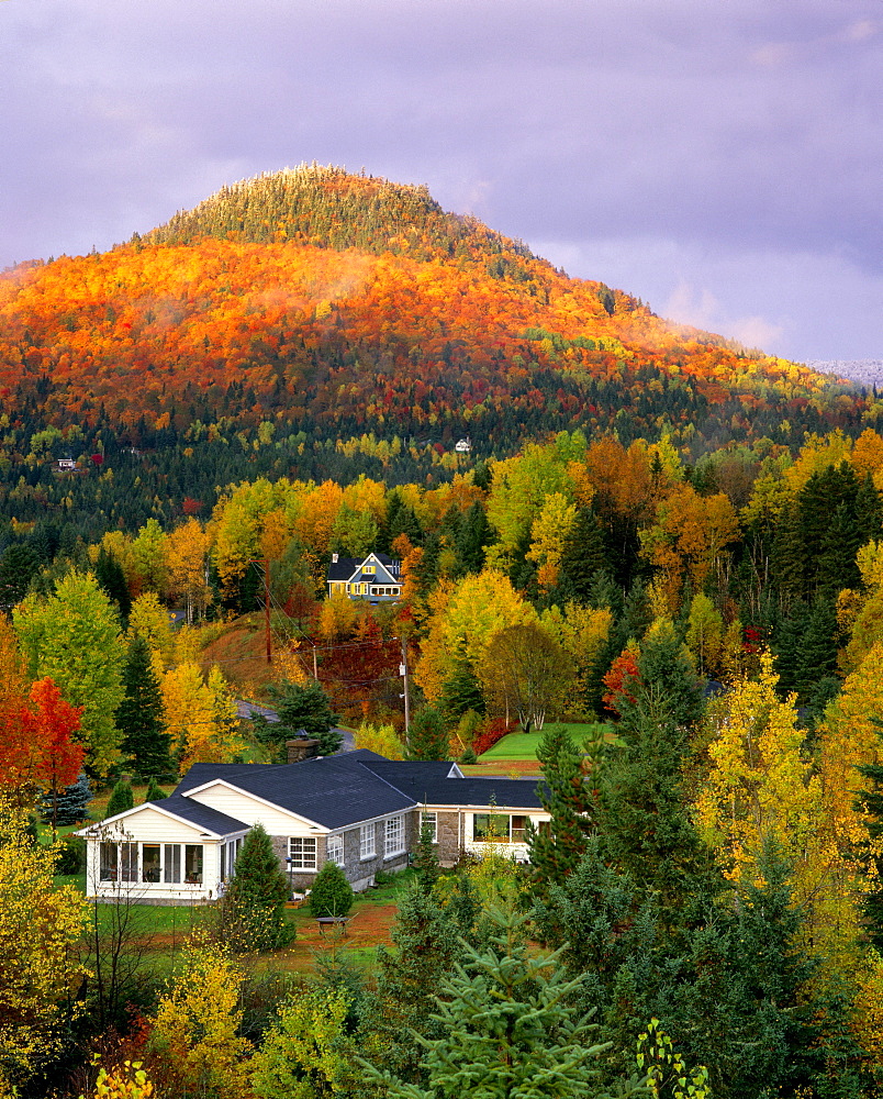 Autumn Landscape at Sunset, Tewkesbury, Quebec