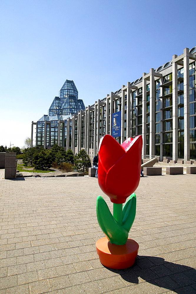 Flower Sculpture in front of the National Gallery of Canada, Ottawa, Ontario