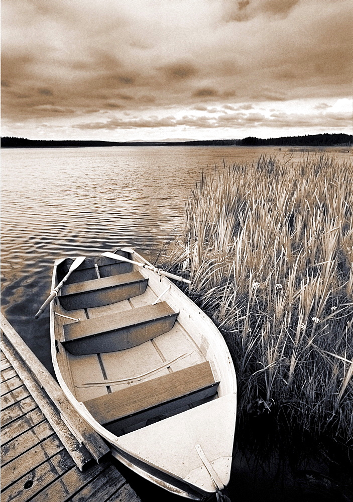 Boat and Reeds, Burntstick Lake, Alberta, Canada