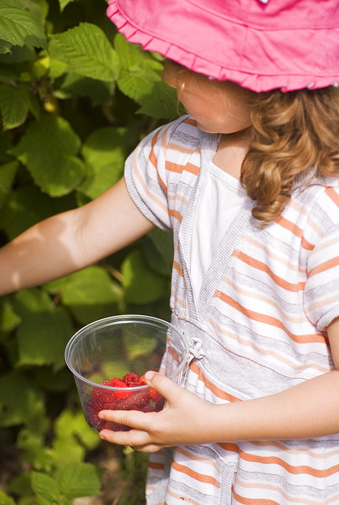 Girl picking raspberries, Lincoln Gardens, Lumsden, Saskatchewan