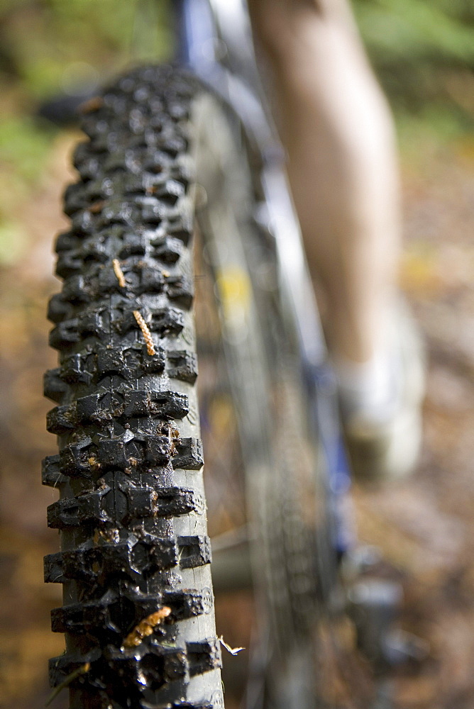 Close up of Mountain Bike Tread, Stanley Park, Vancouver, British Columbia