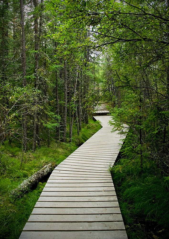 Cameron Falls Trail, Hidden Lake Territorial Park, Yellowknife, Northwest Territories