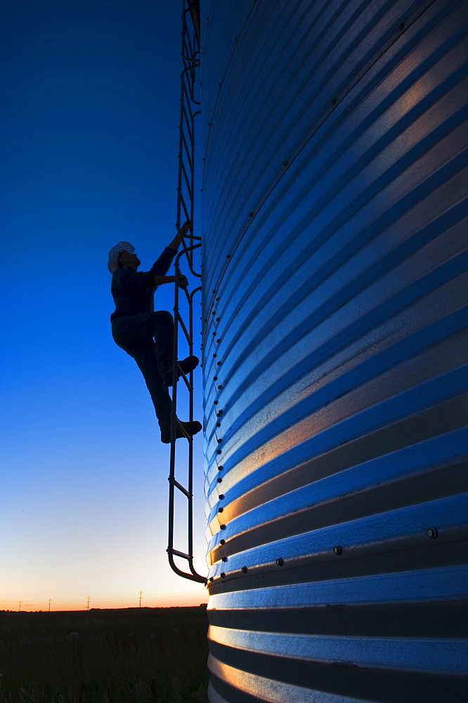 Silhouette of a farmer climbing a grain storage bin, near Carey, Manitoba