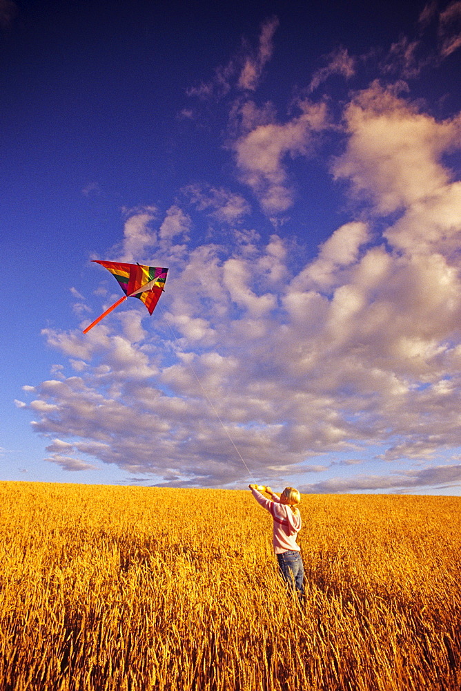 Girl Flying a Kite in a Spring Wheat Field, near Winnipeg, Manitoba