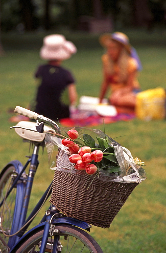Flowers in Bicycle Basket