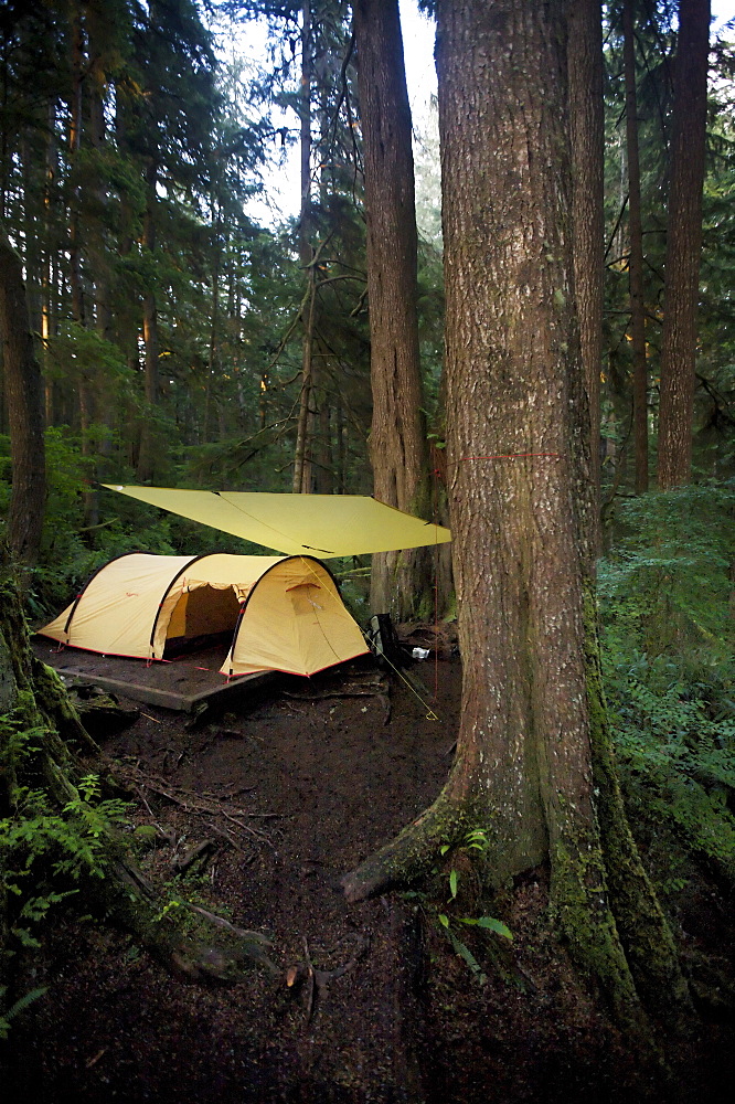 Camp site at Payzant Creek on the Juan de Fuca Marine Trail, Vancouver Island, British Columbia