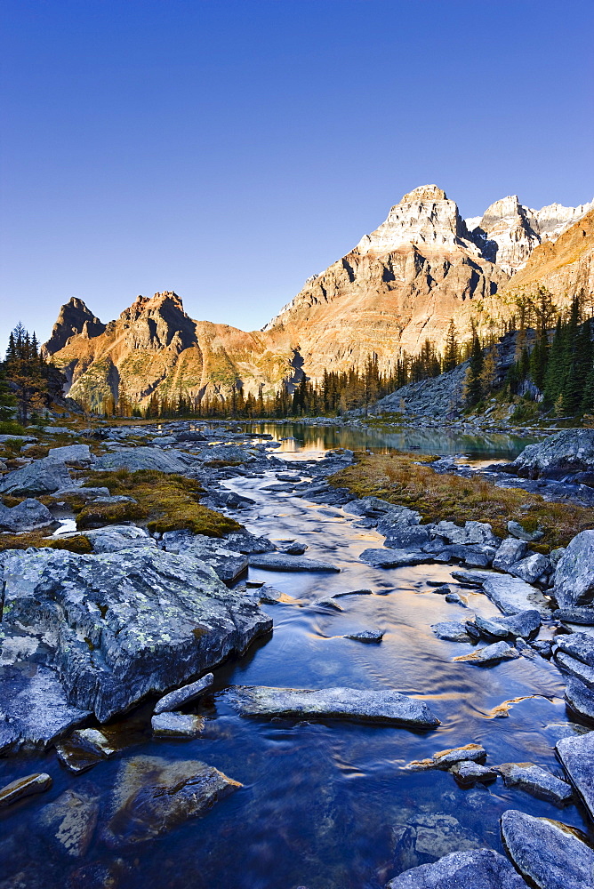 Opabin Plateau, River and Mount Huber with Mount Victoria, Yoho National Park, British Columbia