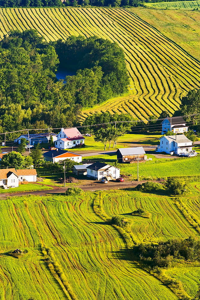 Aerial view of houses and fields at sunrise, Bas-Saint-Laurent region, Saint-Pacome, Quebec