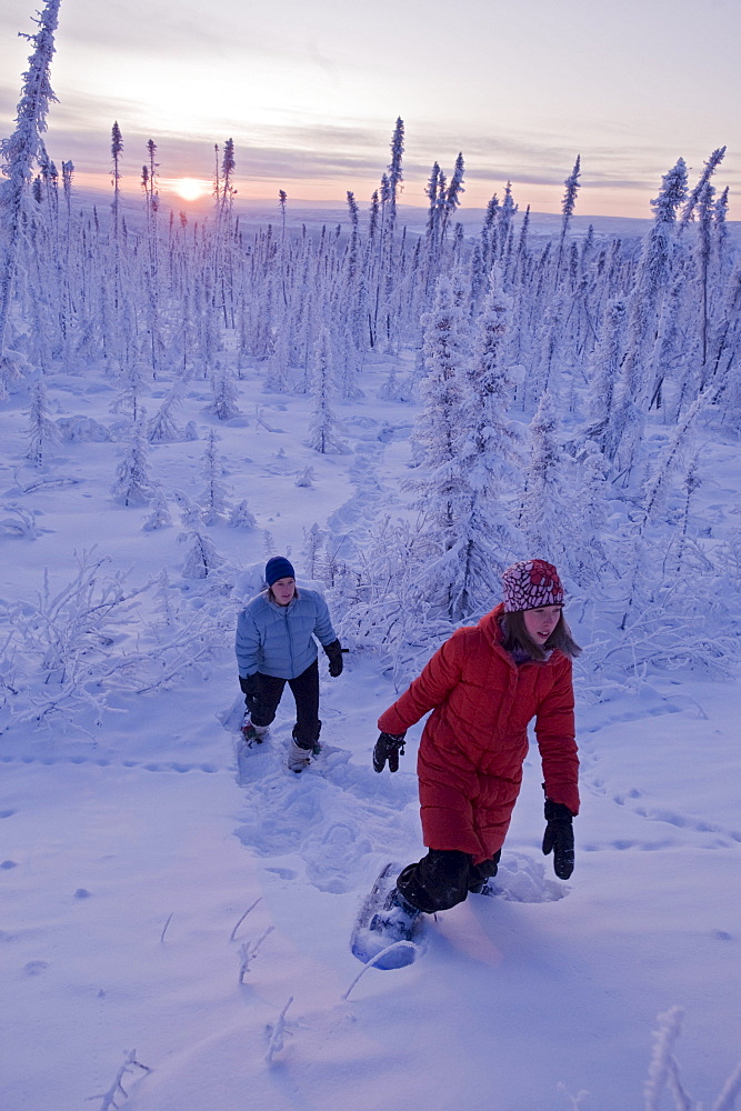 Mother and Daughter hiking in snowshoes through snow-covered forest, Dempster Highway, Yukon