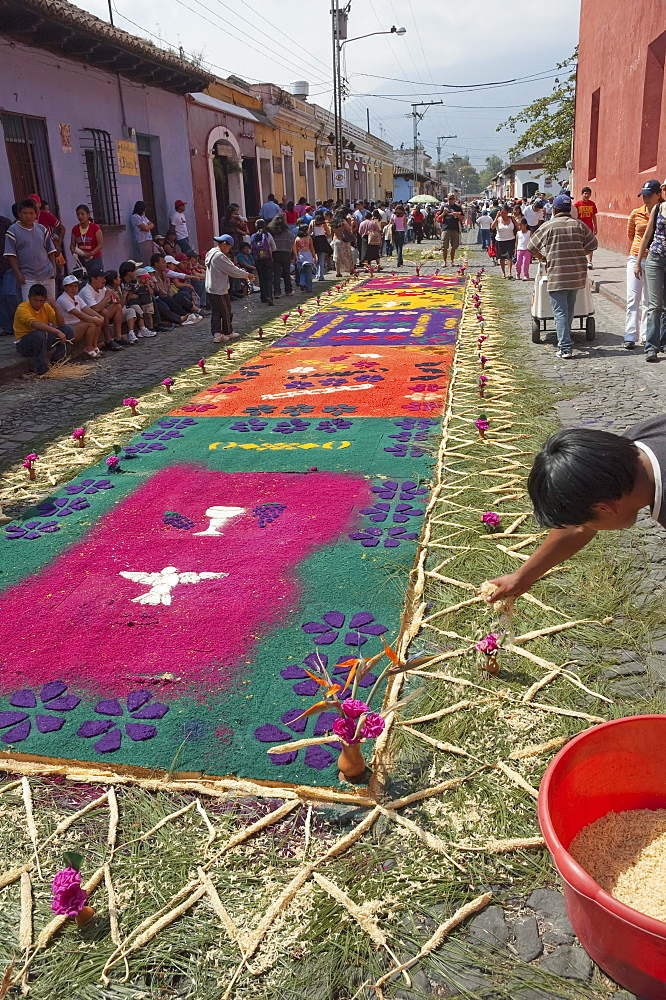 People making a carpet made of sand & sawdust along the Good Friday processional route. Carpet-making is thought of as a sacrificial act, as the elaborate detail and time that go into the carpet making is a way for people to give something of themselves in memory of the crucifixion of Jesus. These carpets last on average 2 hours before they are destroyed by the many feet that march over them during a procession in Antigua Guatemala., Sacatepuquez, Guatemala