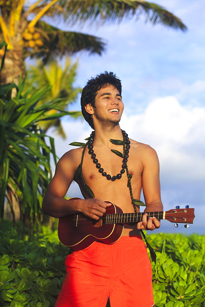 Hawaii, Oahu, Outdoor portrait of young Polynesian man playing ukulele.