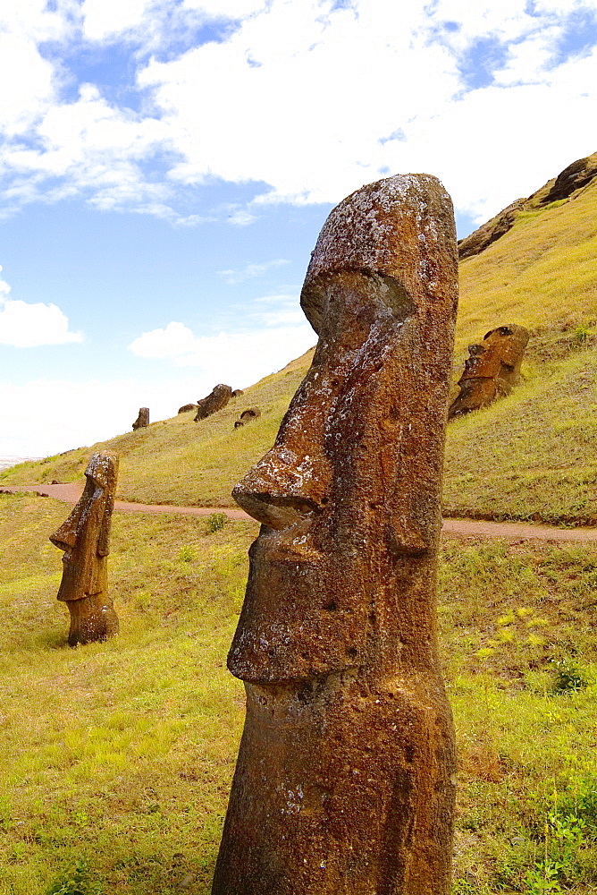 Easter Island, Rano Raraku area, Moai Statues on grassy hillside.