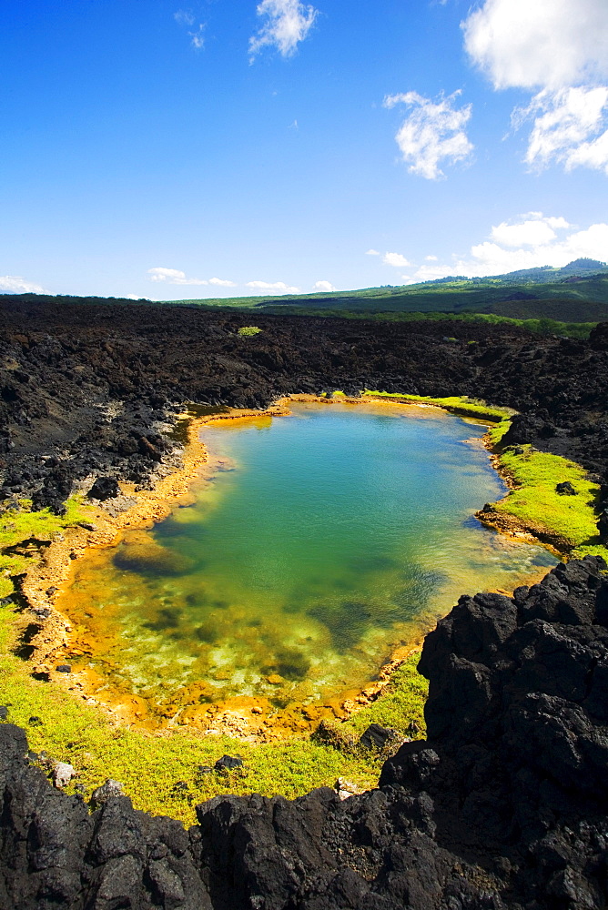 Hawaii, Maui, Makena, Ahihi Kinau Natural Reserve, Anchialine pond.